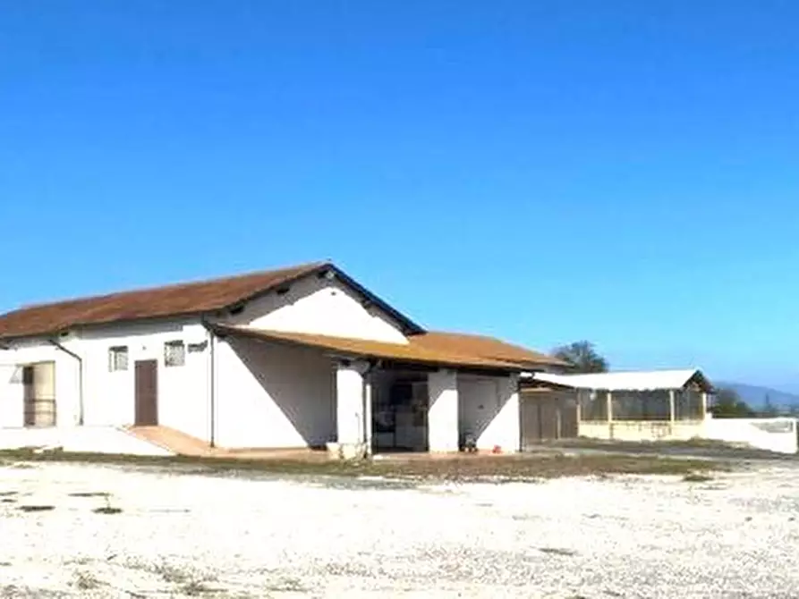 Immagine 3 di Locale commerciale in affitto  a Fiano Romano