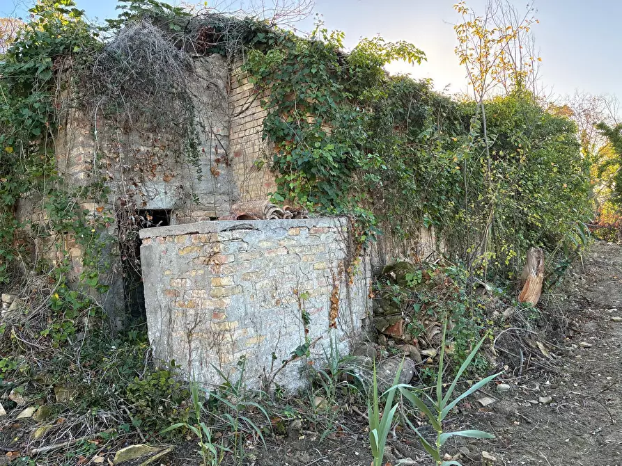 Immagine 8 di Casa indipendente in vendita  a Colonnella