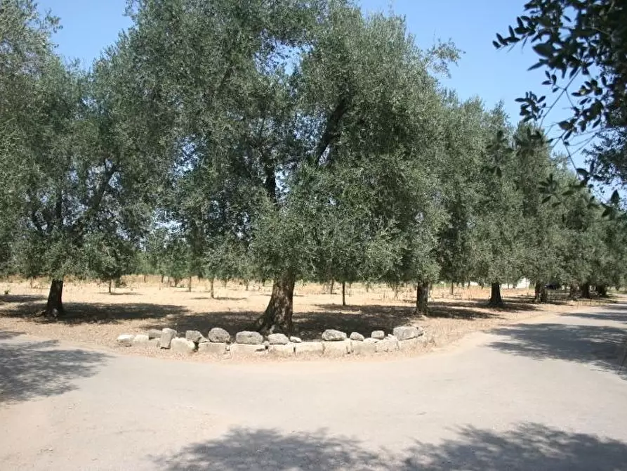 Immagine 44 di Terreno agricolo in vendita  in contrada mandrò a Cutrofiano