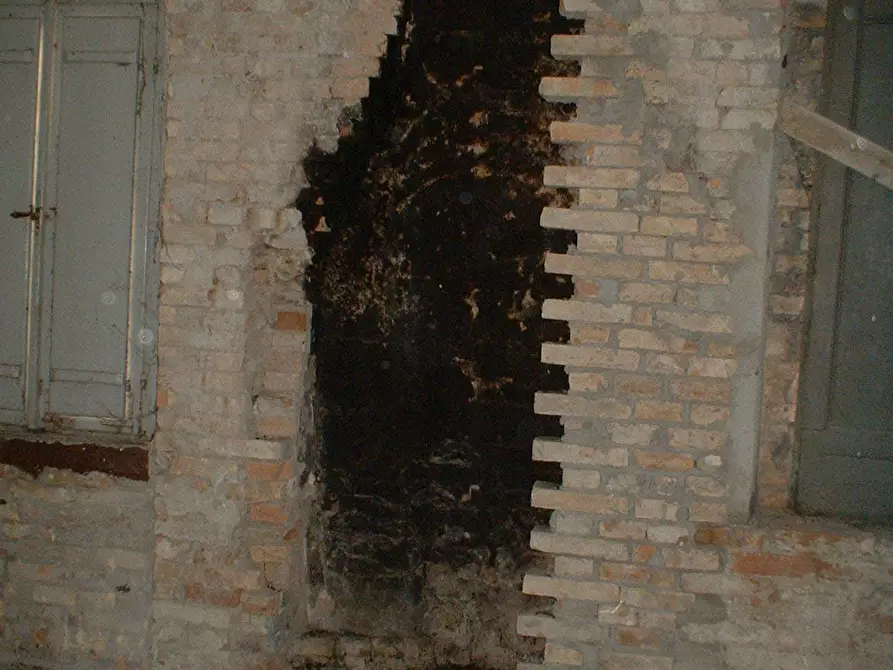 Immagine 23 di Casa indipendente in vendita  a Fermo