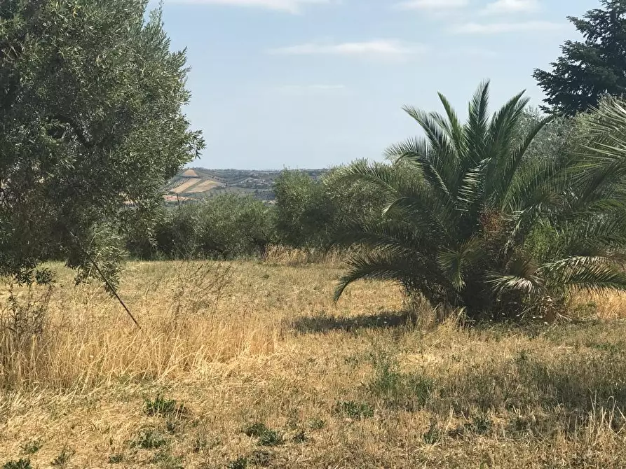Immagine 17 di Terreno edificabile in vendita  a Colonnella