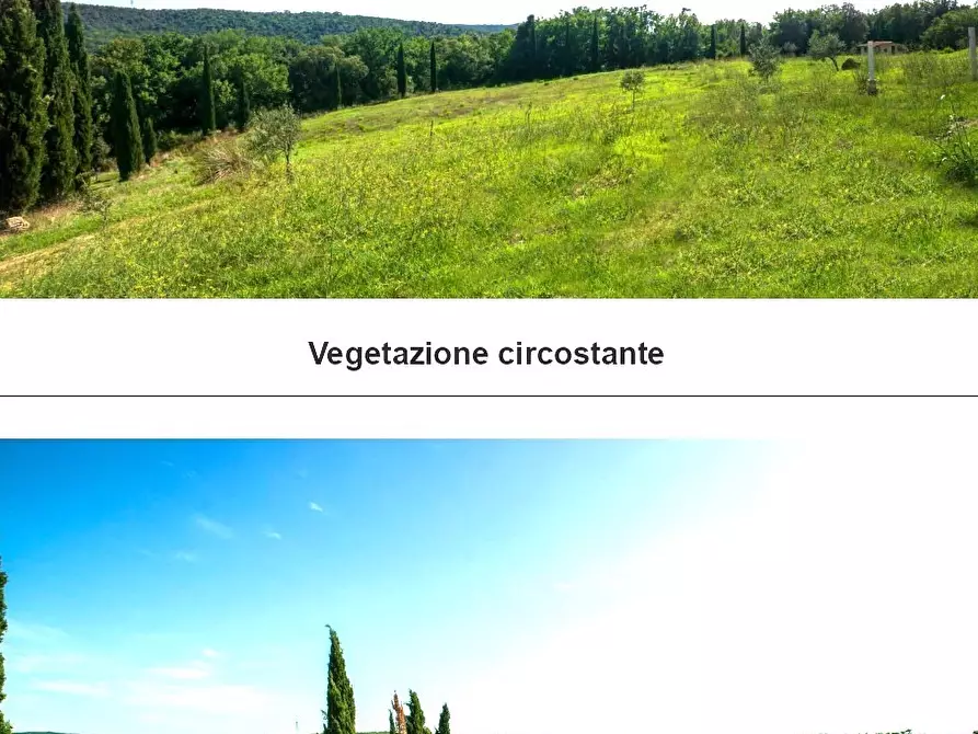 Immagine 12 di Azienda agricola in vendita  a Monterotondo Marittimo