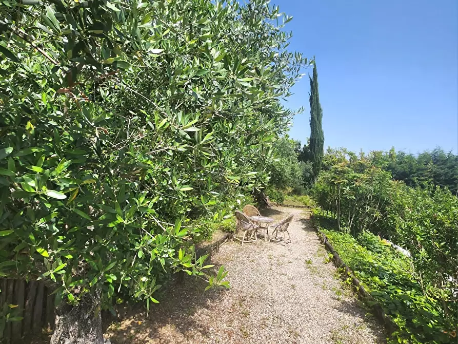 Immagine 68 di Villa in vendita  a San Benedetto Del Tronto