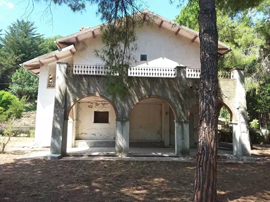 Immagine 24 di Terreno edificabile in vendita  a Tortoreto