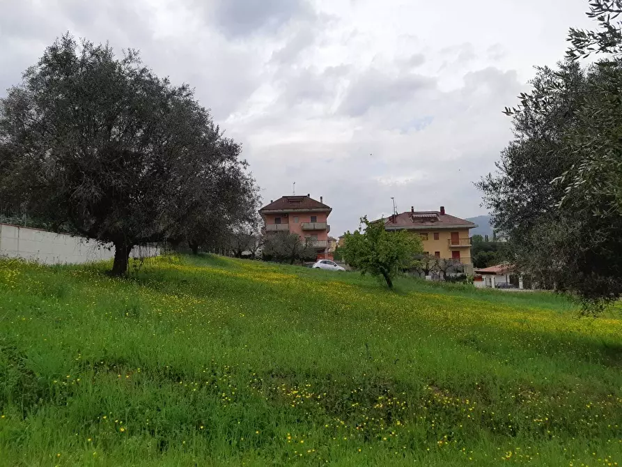 Immagine 6 di Terreno edificabile in vendita  a Appignano Del Tronto