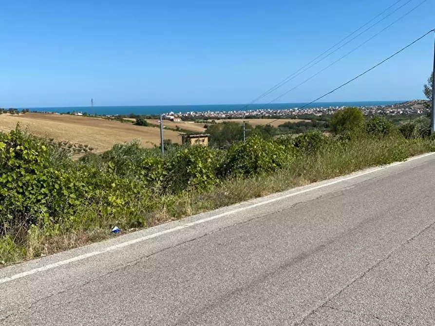 Immagine 3 di Terreno edificabile in vendita  a Colonnella