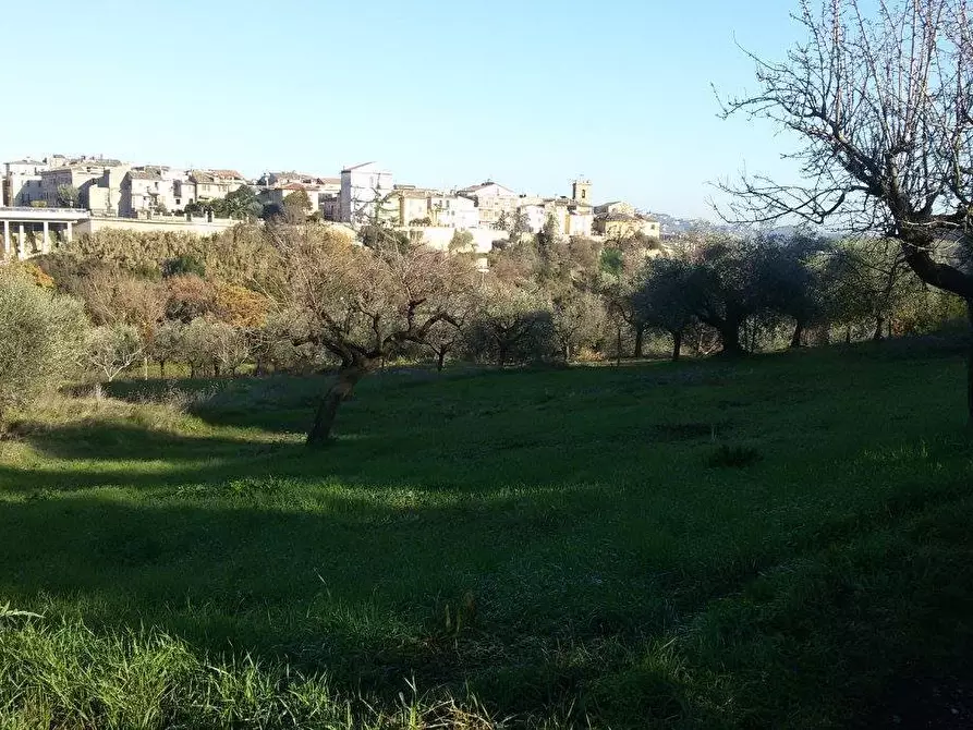 Immagine 3 di Terreno edificabile in vendita  a Appignano Del Tronto