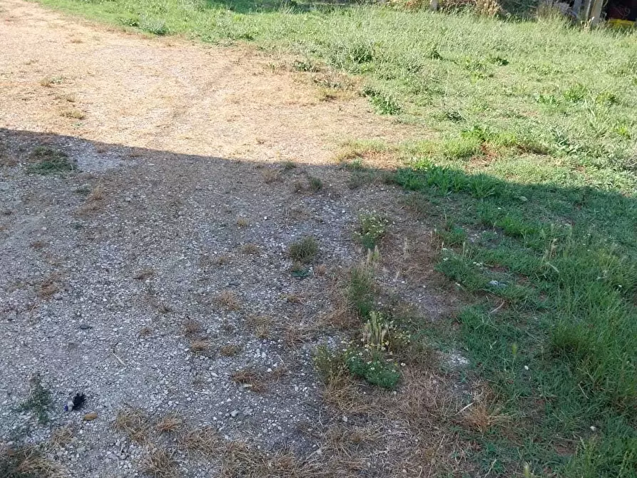 Immagine 13 di Casa indipendente in vendita  a Offida