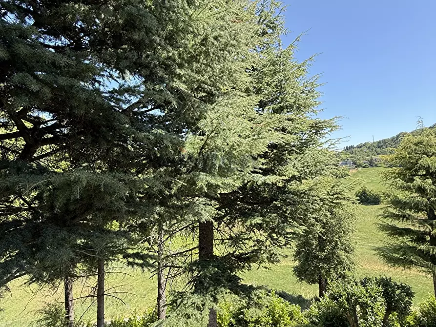 Immagine 27 di Casa bifamiliare in vendita  in Viale Gramsci 711 a Zocca