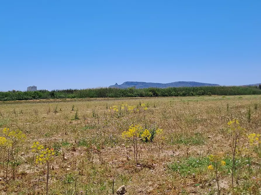 Immagine 14 di Terreno agricolo in vendita  a Quartu Sant'elena