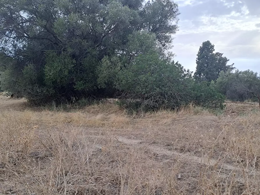Immagine 11 di Terreno agricolo in vendita  a Quartucciu
