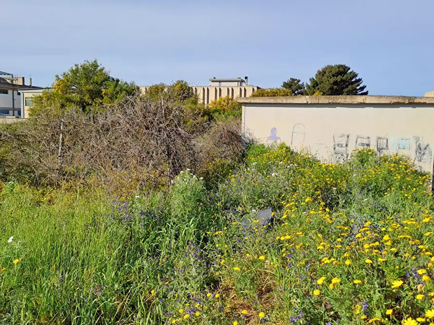 Immagine 5 di Terreno industriale in vendita  a Selargius