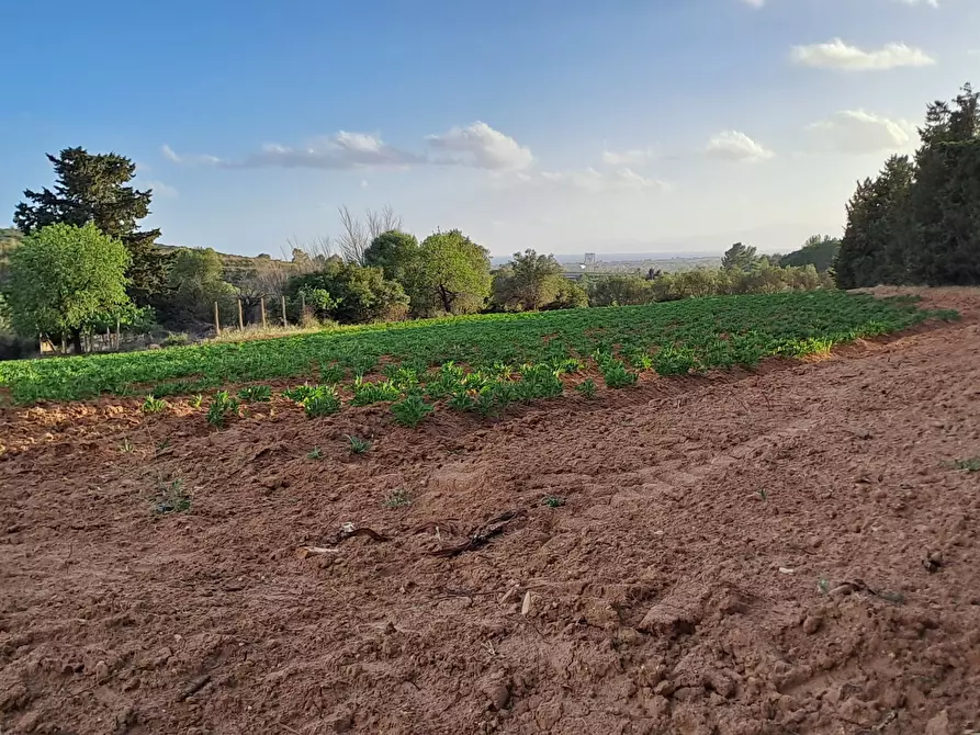 Immagine 21 di Terreno agricolo in vendita  in Via dei Gladioli a Quartucciu
