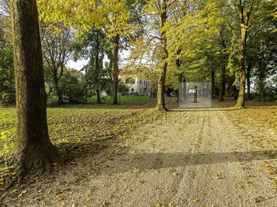 Immagine 23 di Rustico / casale in vendita  in Via Cà Storta 1 a Longare