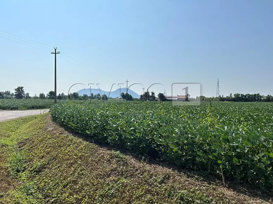 Immagine 11 di Terreno agricolo in vendita  in Via Volpara a Castegnero