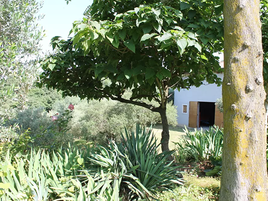 Immagine 27 di Casa indipendente in vendita  a Brendola