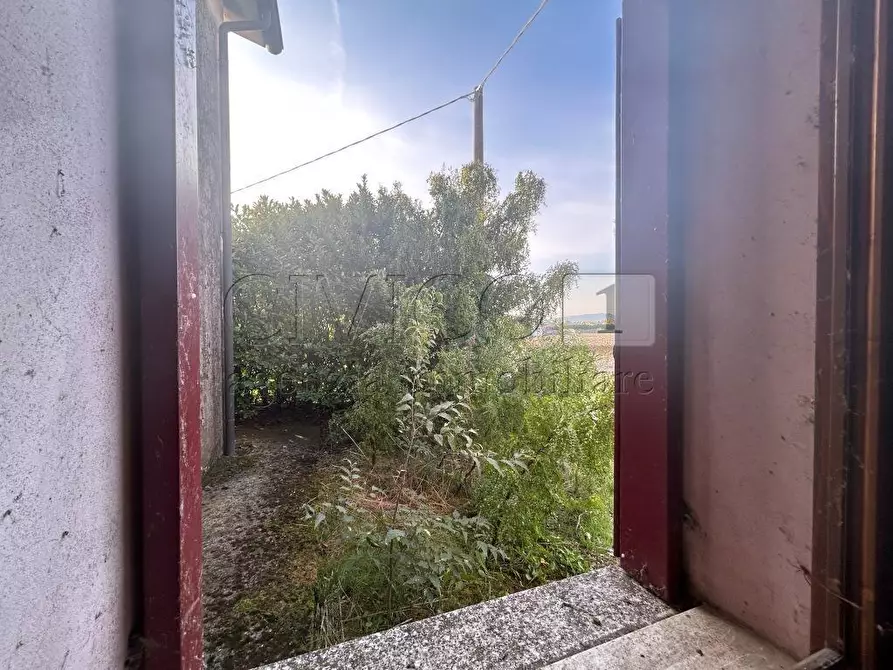 Immagine 33 di Casa indipendente in vendita  in Via Strada Pozzetto 11 a Albettone