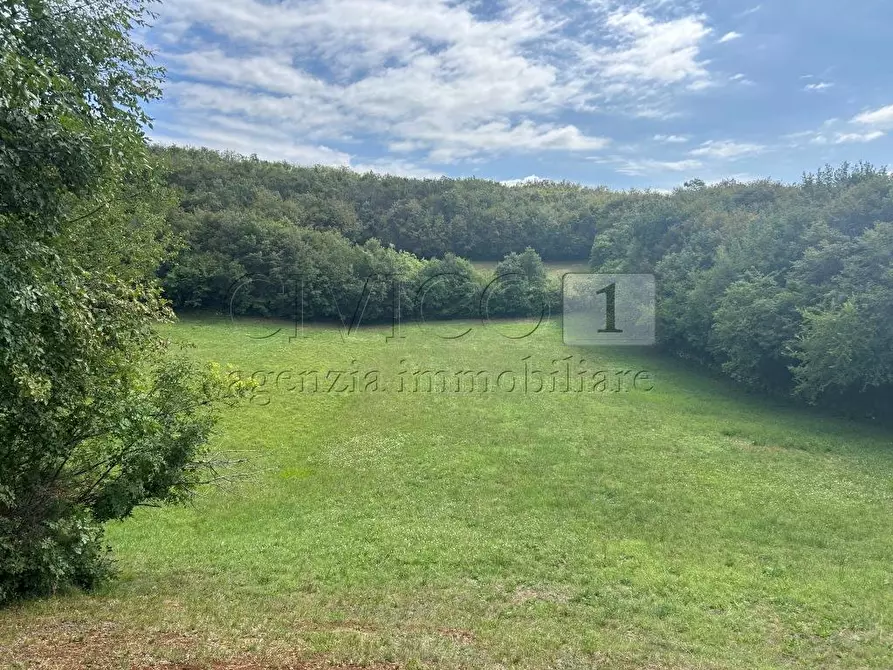 Immagine 22 di Rustico / casale in vendita  in Via Fagnini 8 a Villaga