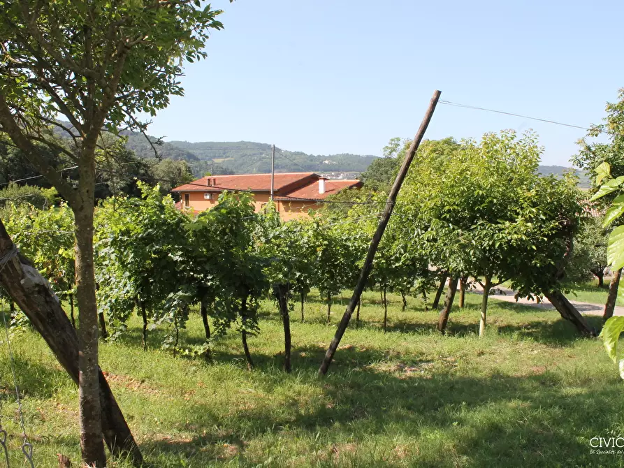 Immagine 12 di Casa indipendente in vendita  a Brendola