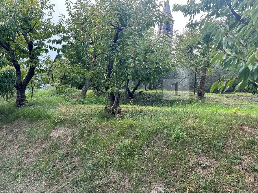 Immagine 5 di Terreno agricolo in vendita  in Via Calcare a Castegnero