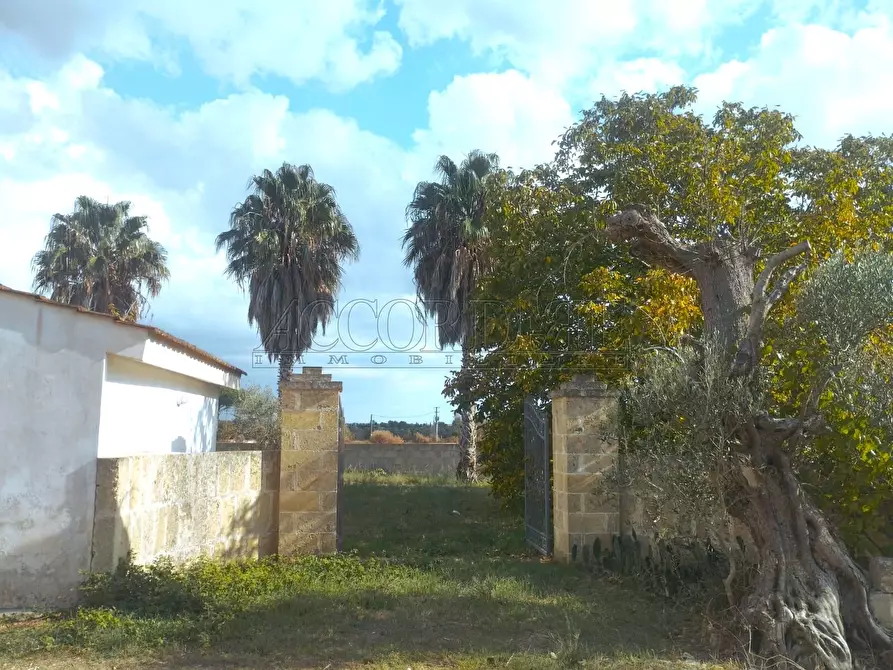 Immagine 7 di Casa indipendente in vendita  in Via Passo del Lupo 4 a Matino