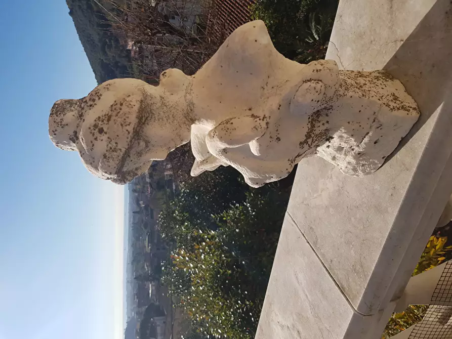 Immagine 53 di Villa in vendita  in Via Milazzo 65 a Carrara