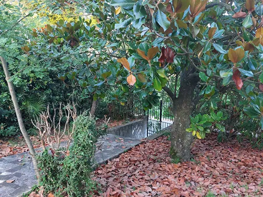 Immagine 12 di Casa semindipendente in vendita  in Via del Maggiore 44 a Castelnuovo Magra