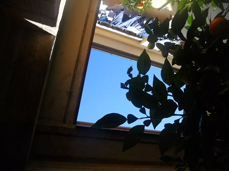 Immagine 9 di Casa indipendente in vendita  in sarzana a Sarzana