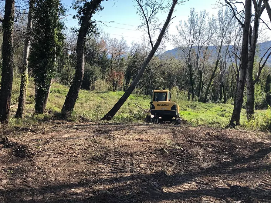 Immagine 12 di Appartamento in vendita  in Via Montefrancio 46 a Castelnuovo Magra