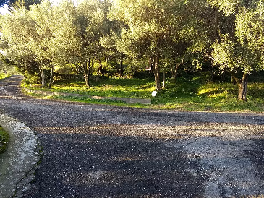 Immagine 7 di Terreno agricolo in vendita  in Via Marcianella a Ortonovo