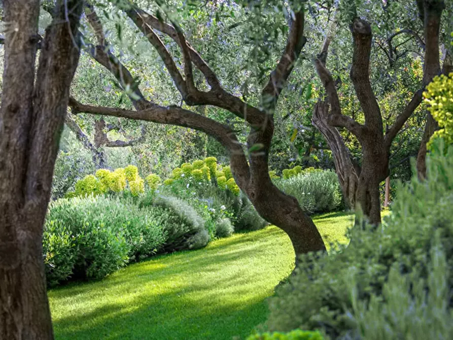 Immagine 1 di Villa in vendita  in Via Belvedere 6a a Sarzana