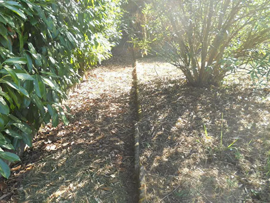 Immagine 77 di Rustico / casale in vendita  a Castelnuovo Magra