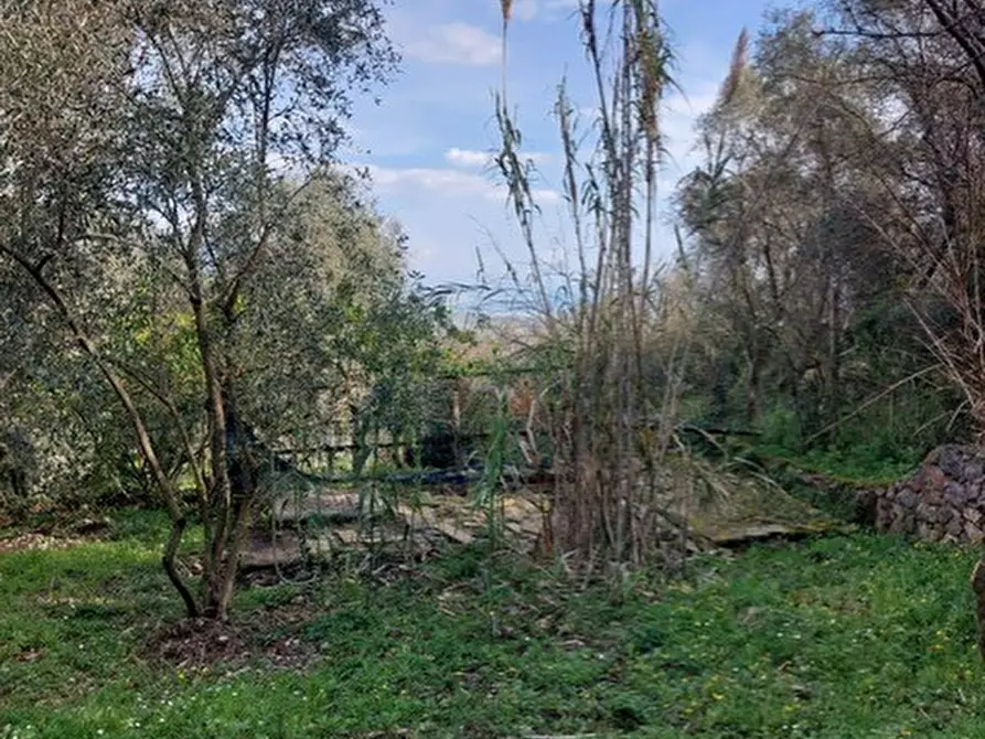 Immagine 20 di Rustico / casale in vendita  in Via Caffaggio 10 a Ameglia