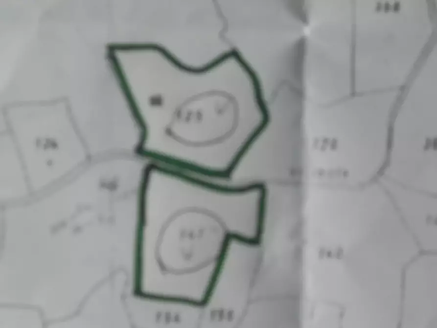 Immagine 7 di Terreno agricolo in vendita  in Via Vittorio Veneto 55 a Castelnuovo Magra