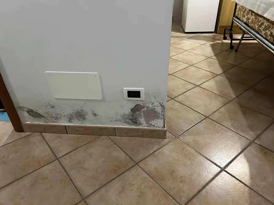 Immagine 26 di Trilocale in vendita  in Via Maudagna 55 a Frabosa Sottana