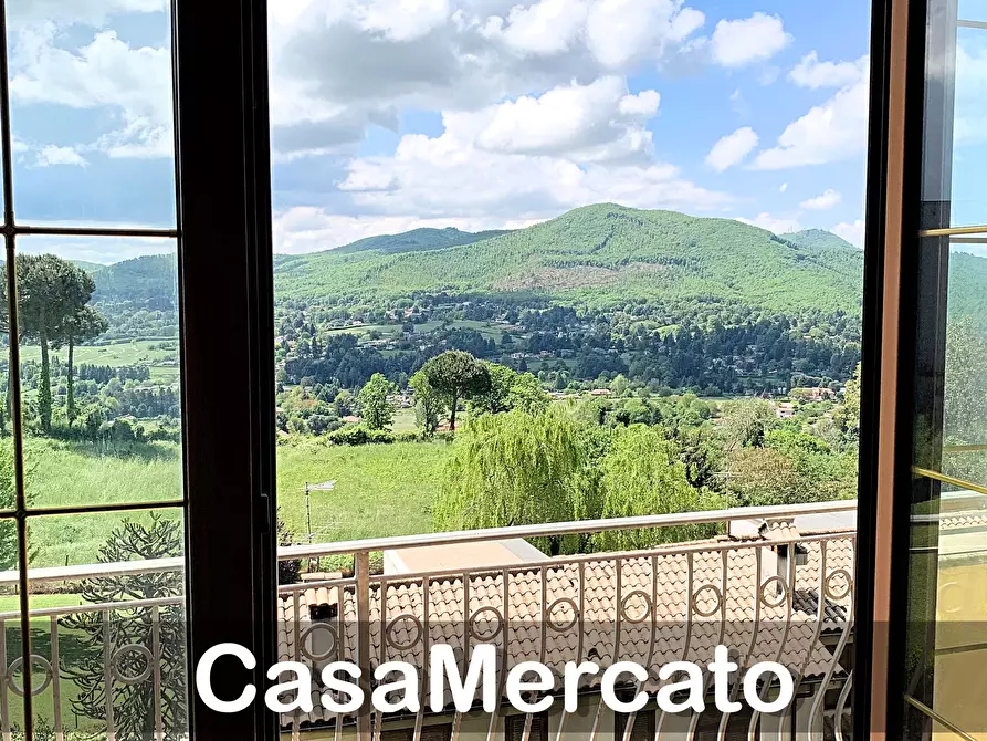 Immagine 10 di Showroom in affitto  in Via della Pineta a Rocca Priora