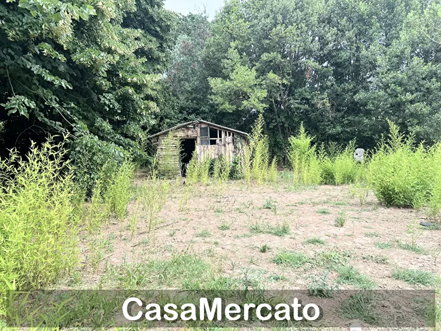 Immagine 1 di Rustico / casale in vendita  a Grottaferrata