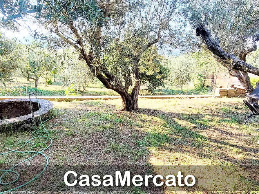 Immagine 16 di Rustico / casale in vendita  in Via del Tuscolo a Grottaferrata