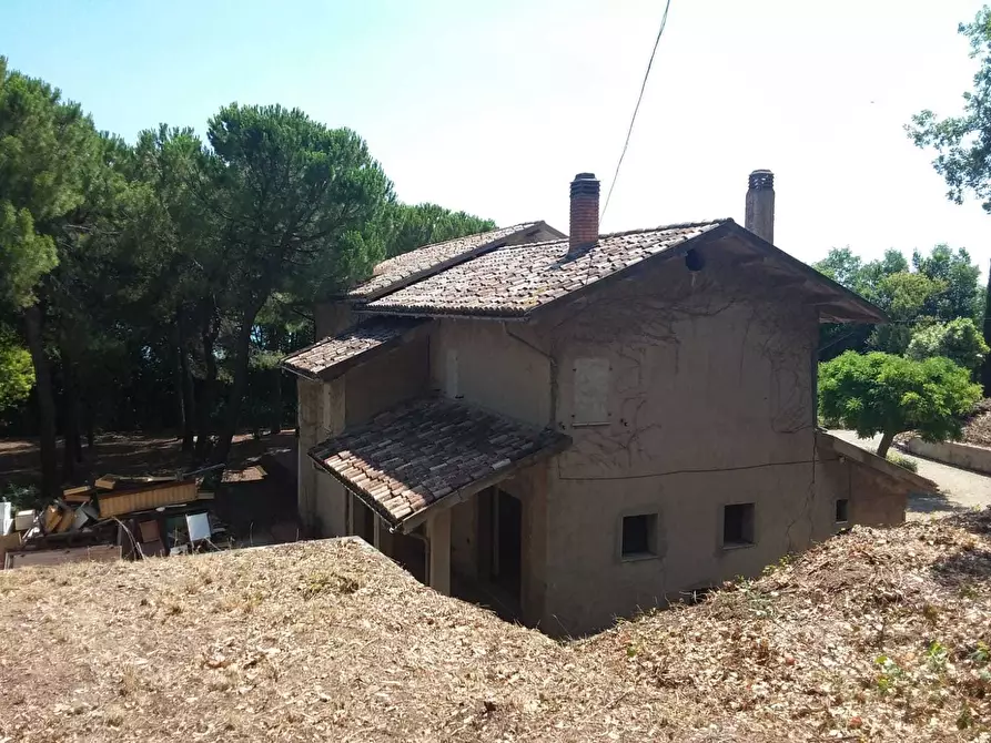 Immagine 18 di Terreno edificabile in vendita  a Tortoreto