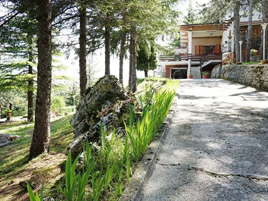 Immagine 24 di Casa indipendente in vendita  a Ascoli Piceno