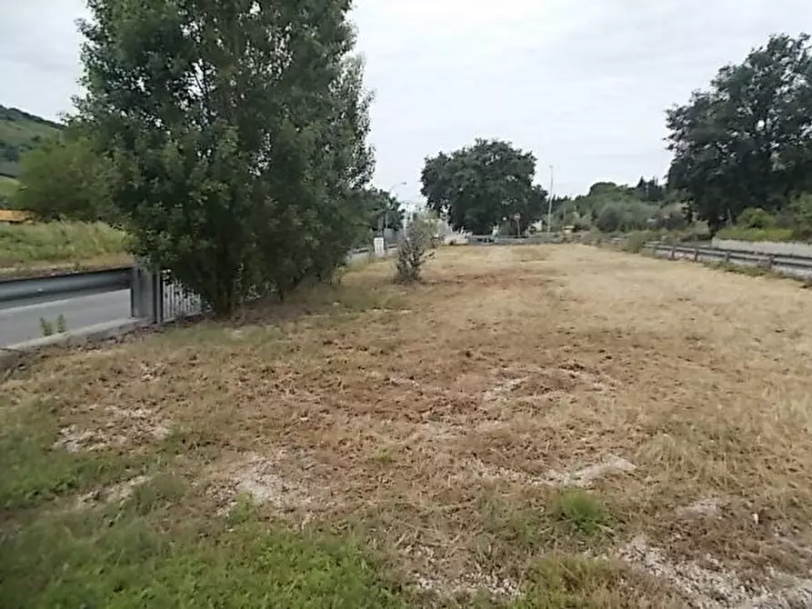 Immagine 3 di Terreno industriale in affitto  a Ripatransone