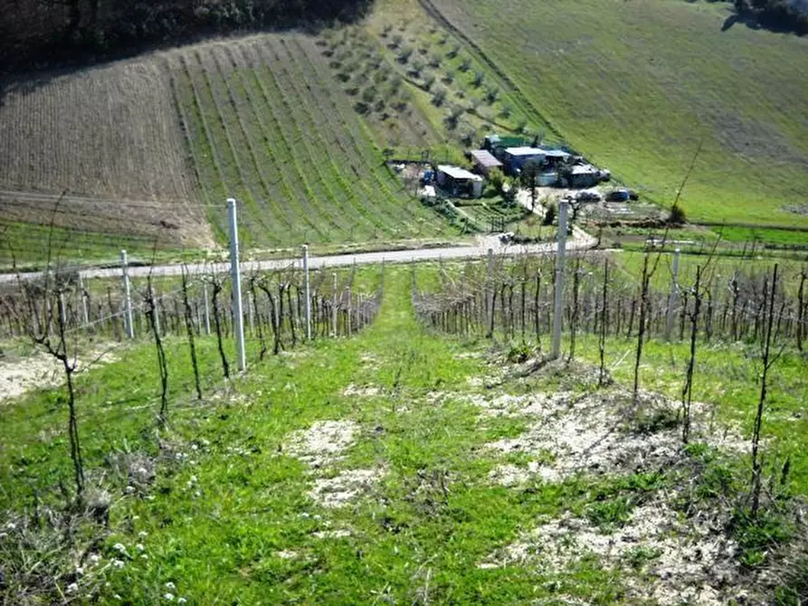 Immagine 6 di Terreno edificabile in vendita  in contrada a Castorano
