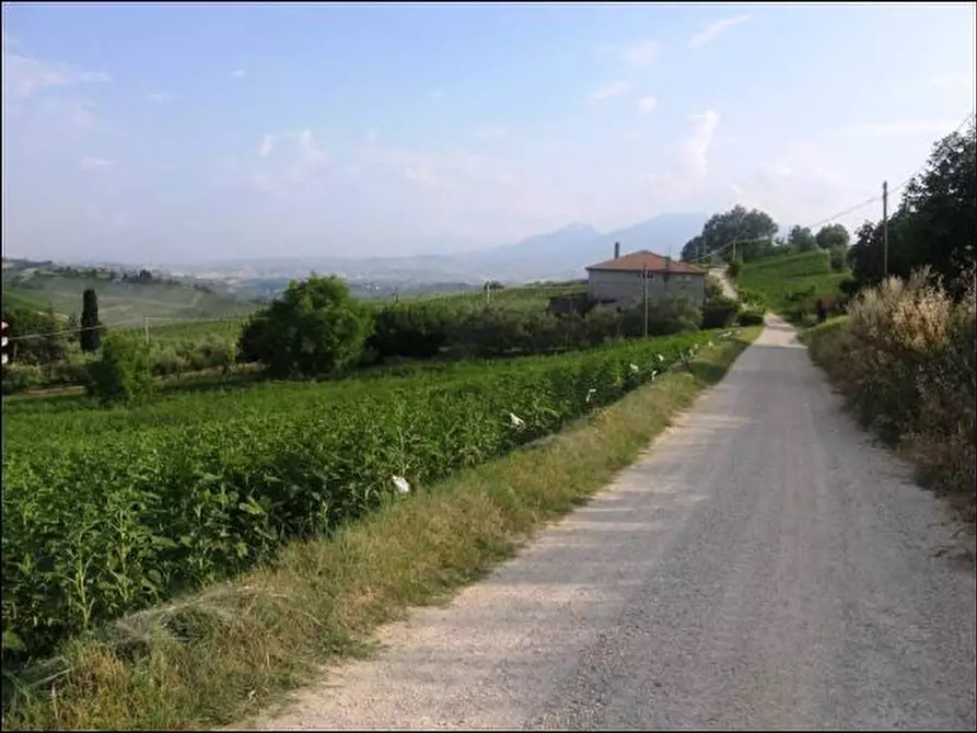 Immagine 5 di Rustico / casale in vendita  a Offida