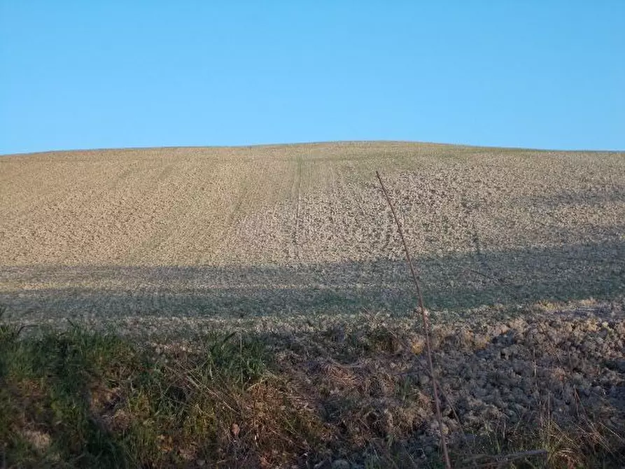 Immagine 7 di Terreno agricolo in vendita  in contrada a Ripatransone