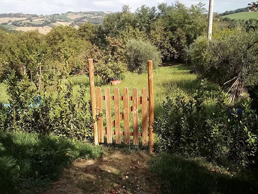 Immagine 17 di Rustico / casale in affitto  a Monsampietro Morico