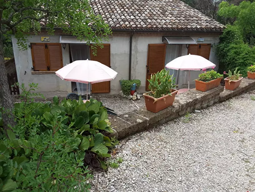 Immagine 1 di Agriturismo in vendita  a Offagna