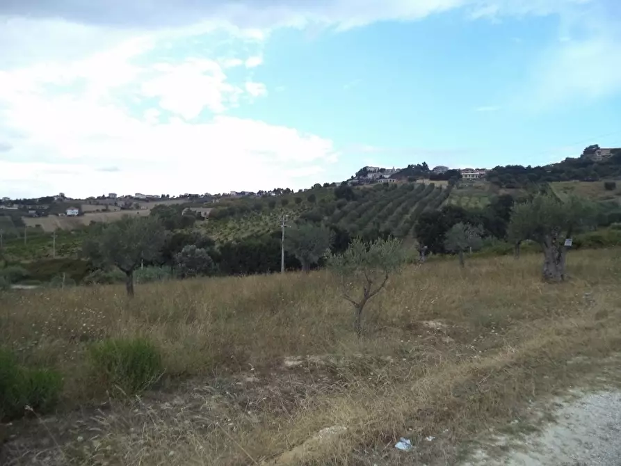 Immagine 37 di Casa indipendente in vendita  a Colonnella