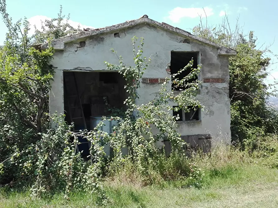 Immagine 5 di Casa indipendente in vendita  a Controguerra