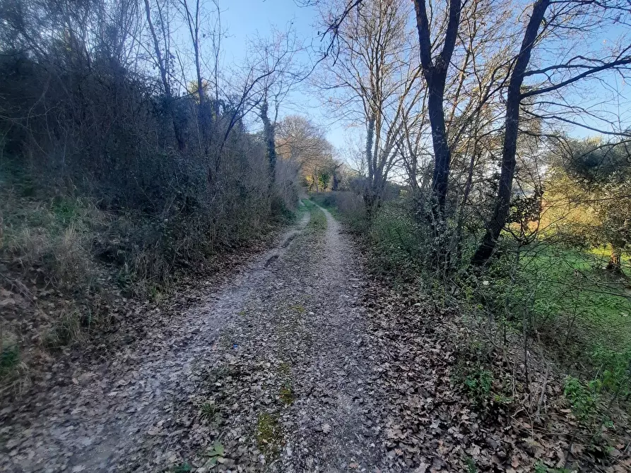 Immagine 20 di Casa indipendente in vendita  in cantina Cocci Grifoni a Ripatransone