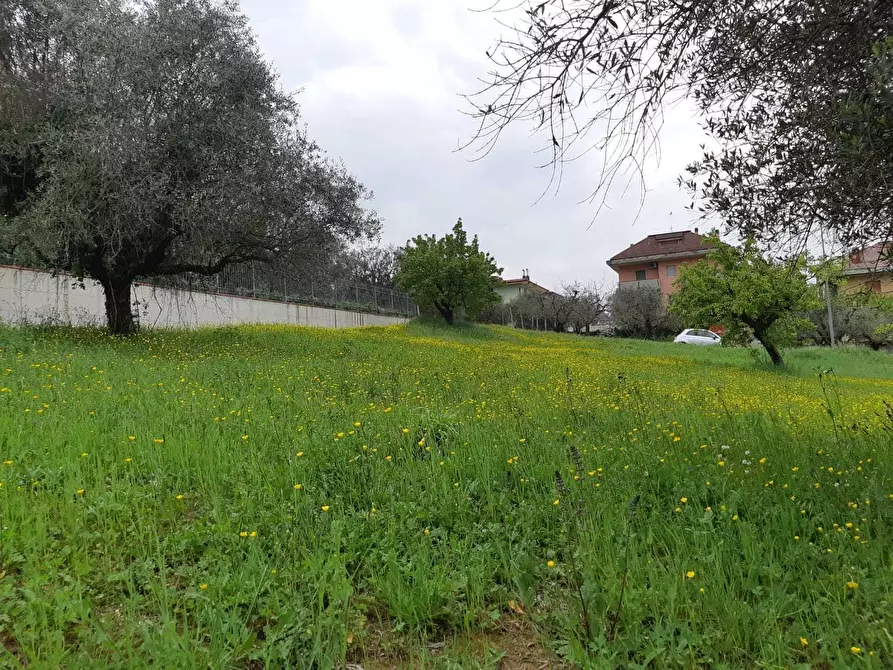Immagine 5 di Terreno edificabile in vendita  a Appignano Del Tronto